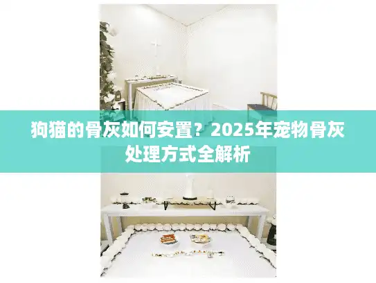 狗猫的骨灰如何安置？2025年宠物骨灰处理方式全解析