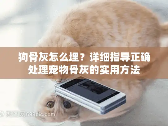 狗骨灰怎么埋？详细指导正确处理宠物骨灰的实用方法