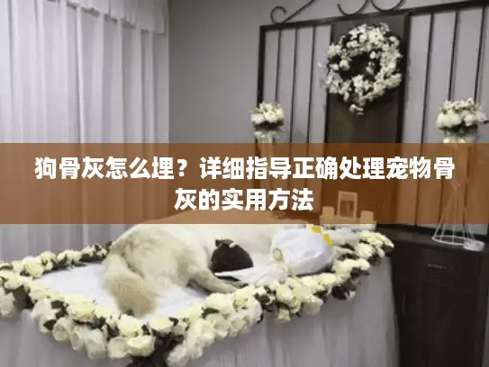 狗骨灰怎么埋？详细指导正确处理宠物骨灰的实用方法