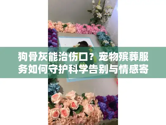 狗骨灰能治伤口？宠物殡葬服务如何守护科学告别与情感寄托
