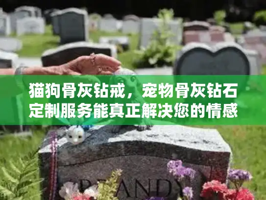 猫狗骨灰钻戒，宠物骨灰钻石定制服务能真正解决您的情感痛点吗？