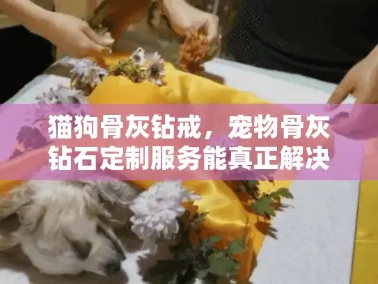 猫狗骨灰钻戒，宠物骨灰钻石定制服务能真正解决您的情感痛点吗？