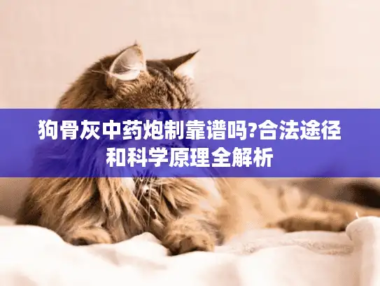 狗骨灰中药炮制靠谱吗?合法途径和科学原理全解析