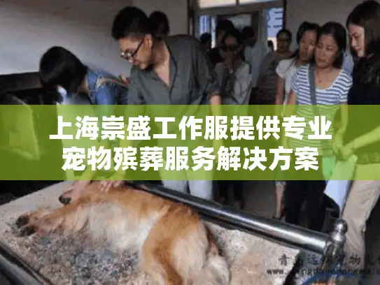 上海崇盛工作服提供专业宠物殡葬服务解决方案