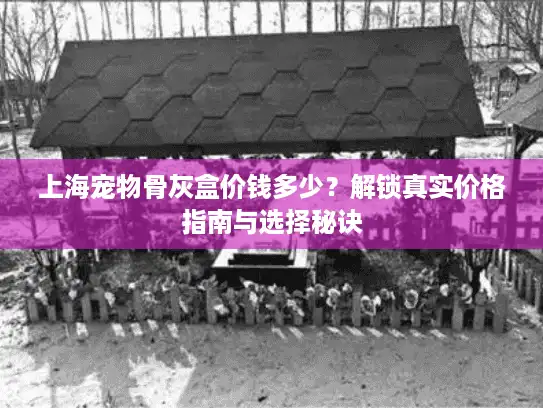 上海宠物骨灰盒价钱多少？解锁真实价格指南与选择秘诀