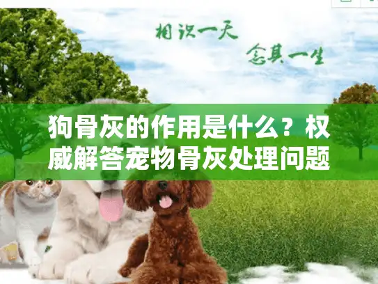 狗骨灰的作用是什么？权威解答宠物骨灰处理问题
