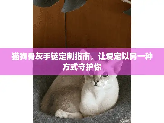 猫狗骨灰手链定制指南，让爱宠以另一种方式守护你