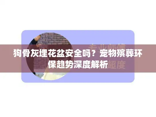 狗骨灰埋花盆安全吗？宠物殡葬环保趋势深度解析