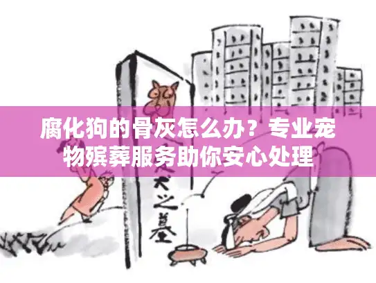 腐化狗的骨灰怎么办？专业宠物殡葬服务助你安心处理