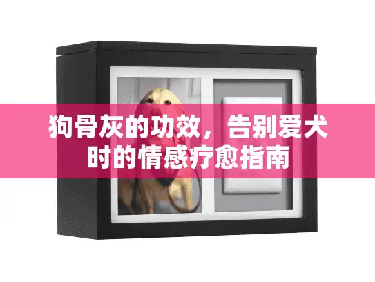 狗骨灰的功效，告别爱犬时的情感疗愈指南