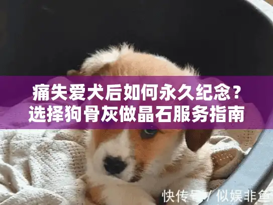 痛失爱犬后如何永久纪念？选择狗骨灰做晶石服务指南
