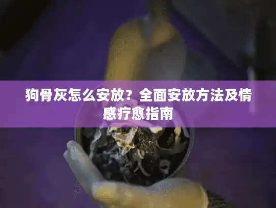 狗骨灰怎么安放？全面安放方法及情感疗愈指南
