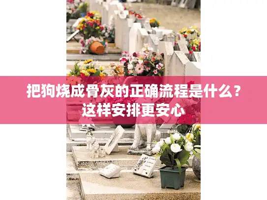 把狗烧成骨灰的正确流程是什么？这样安排更安心