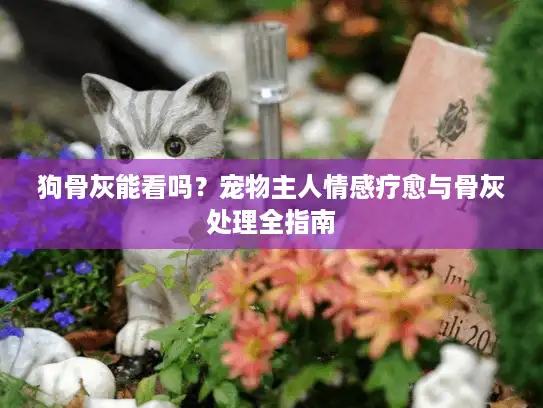 狗骨灰能看吗？宠物主人情感疗愈与骨灰处理全指南