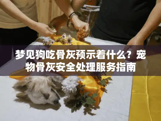 梦见狗吃骨灰预示着什么？宠物骨灰安全处理服务指南