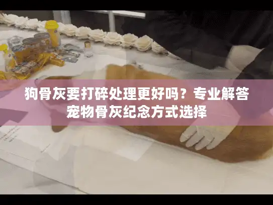 狗骨灰要打碎处理更好吗？专业解答宠物骨灰纪念方式选择