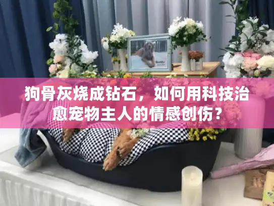 狗骨灰烧成钻石，如何用科技治愈宠物主人的情感创伤？