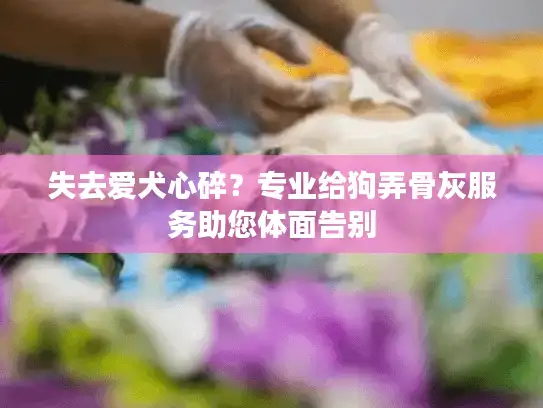 失去爱犬心碎？专业给狗弄骨灰服务助您体面告别
