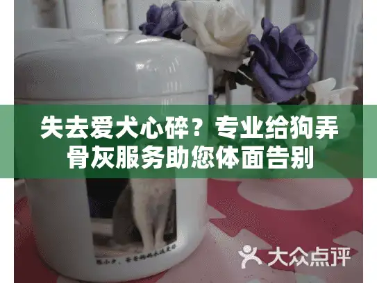 失去爱犬心碎？专业给狗弄骨灰服务助您体面告别