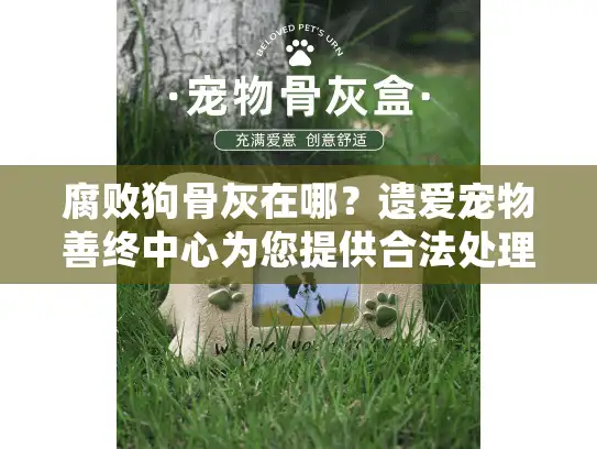 腐败狗骨灰在哪？遗爱宠物善终中心为您提供合法处理方案
