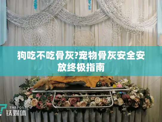 狗吃不吃骨灰?宠物骨灰安全安放终极指南