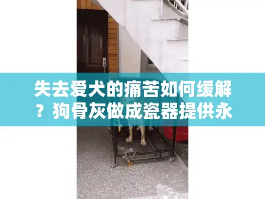失去爱犬的痛苦如何缓解？狗骨灰做成瓷器提供永恒纪念方案