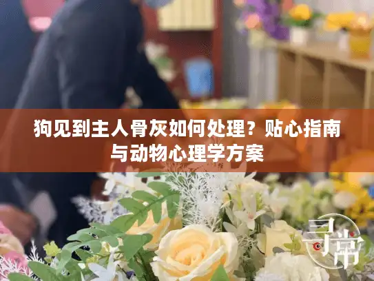 狗见到主人骨灰如何处理？贴心指南与动物心理学方案