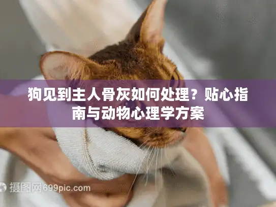 狗见到主人骨灰如何处理？贴心指南与动物心理学方案