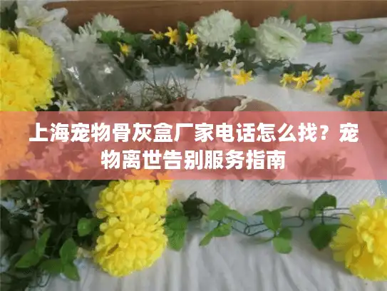 上海宠物骨灰盒厂家电话怎么找？宠物离世告别服务指南