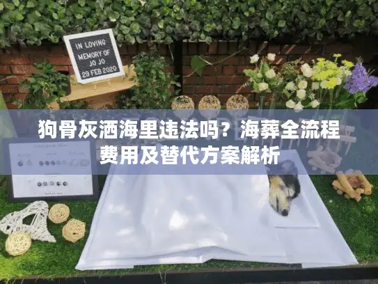 狗骨灰洒海里违法吗？海葬全流程费用及替代方案解析