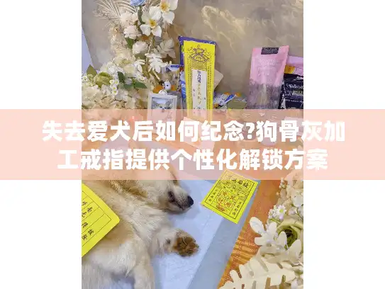 失去爱犬后如何纪念?狗骨灰加工戒指提供个性化解锁方案