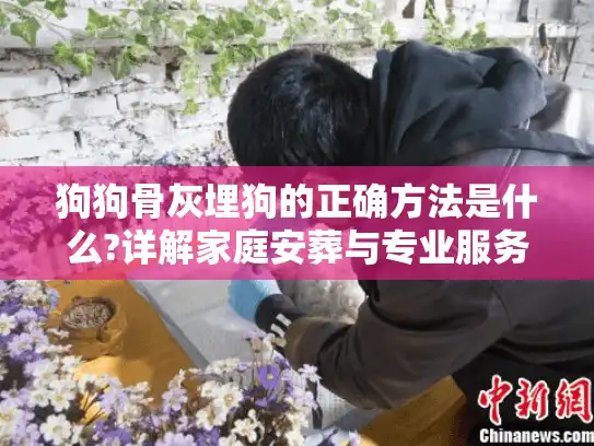 狗狗骨灰埋狗的正确方法是什么?详解家庭安葬与专业服务选择