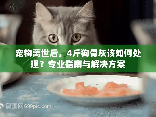 宠物离世后，4斤狗骨灰该如何处理？专业指南与解决方案