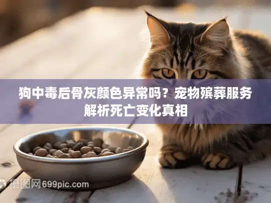 狗中毒后骨灰颜色异常吗？宠物殡葬服务解析死亡变化真相