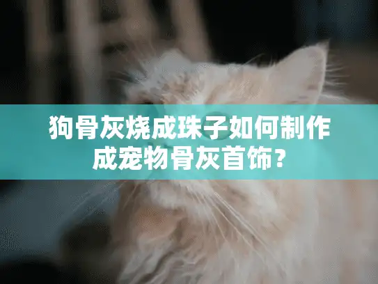 狗骨灰烧成珠子如何制作成宠物骨灰首饰？