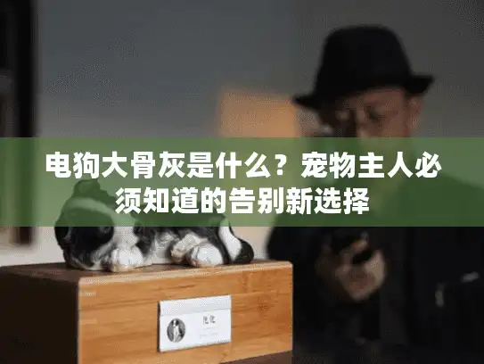 电狗大骨灰是什么？宠物主人必须知道的告别新选择