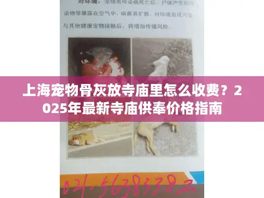 上海宠物骨灰放寺庙里怎么收费？2025年最新寺庙供奉价格指南