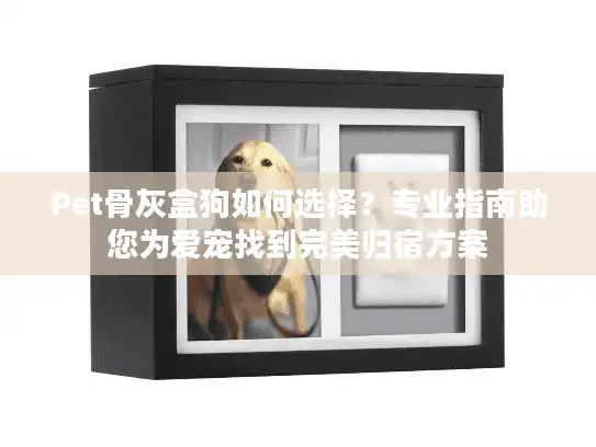 Pet骨灰盒狗如何选择？专业指南助您为爱宠找到完美归宿方案