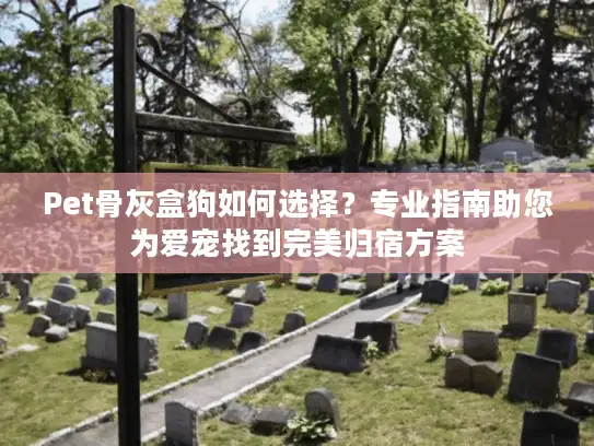Pet骨灰盒狗如何选择？专业指南助您为爱宠找到完美归宿方案