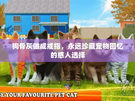 狗骨灰做成戒指，永远珍藏宠物回忆的感人选择