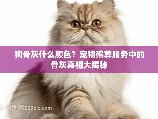 狗骨灰什么颜色？宠物殡葬服务中的骨灰真相大揭秘