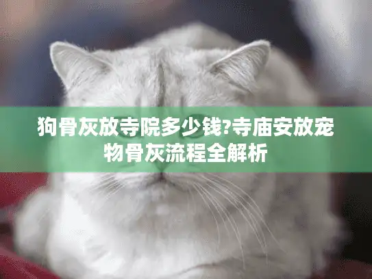 狗骨灰放寺院多少钱?寺庙安放宠物骨灰流程全解析