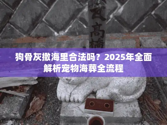 狗骨灰撒海里合法吗？2025年全面解析宠物海葬全流程
