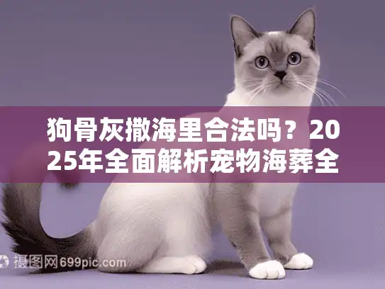 狗骨灰撒海里合法吗？2025年全面解析宠物海葬全流程