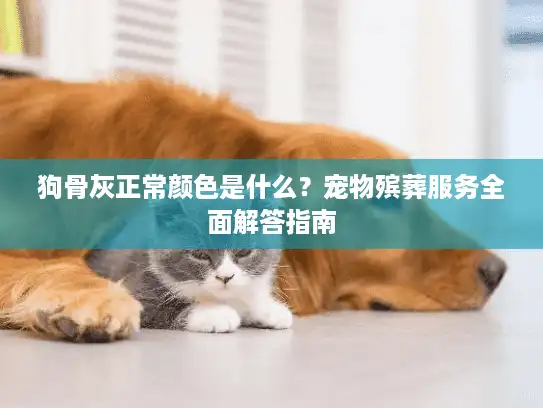 狗骨灰正常颜色是什么？宠物殡葬服务全面解答指南