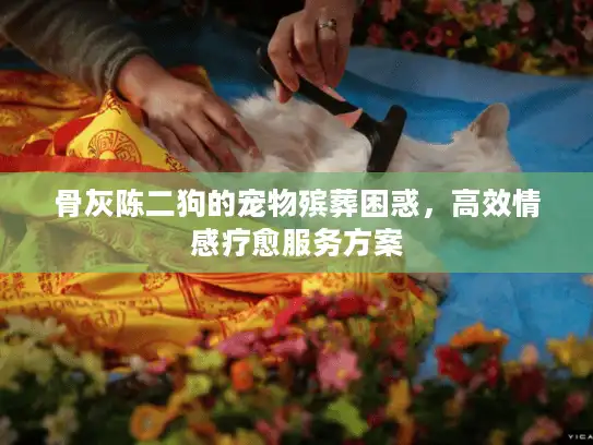 骨灰陈二狗的宠物殡葬困惑，高效情感疗愈服务方案