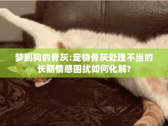 梦到狗的骨灰:宠物骨灰处理不当的长期情感困扰如何化解?