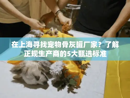在上海寻找宠物骨灰罐厂家？了解正规生产商的5大甄选标准
