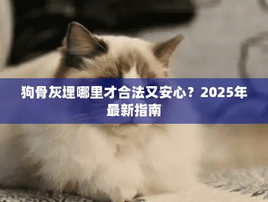 狗骨灰埋哪里才合法又安心？2025年最新指南