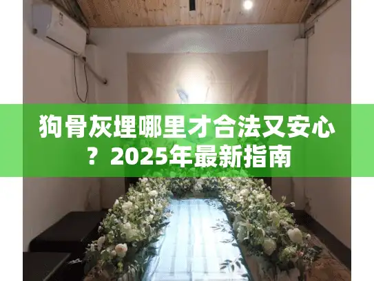 狗骨灰埋哪里才合法又安心？2025年最新指南